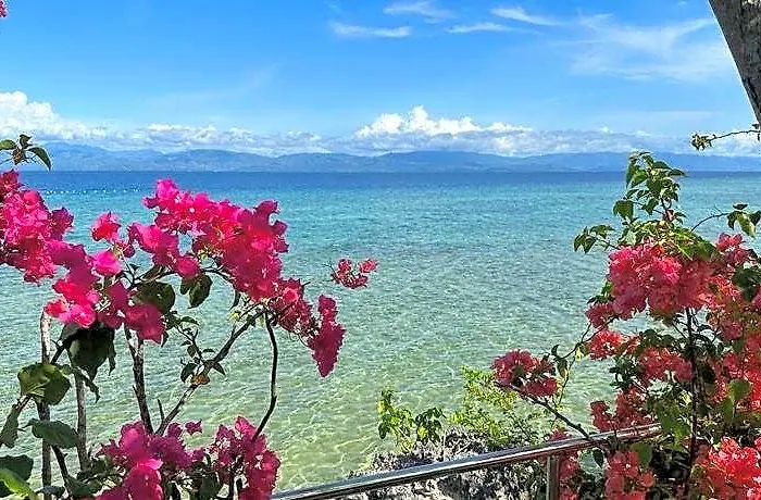 Nature Seaview Moalboal